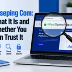 Person checking the gaseping com website address on a laptop screen with a green padlock in the browser bar